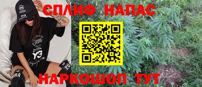 шишки Гусев