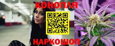 шишки Гусев