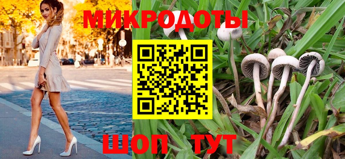 Муром  Псилоцибиновые грибы мухоморы  Галлюциногенные грибы прущие грибы  Вход с VPN 