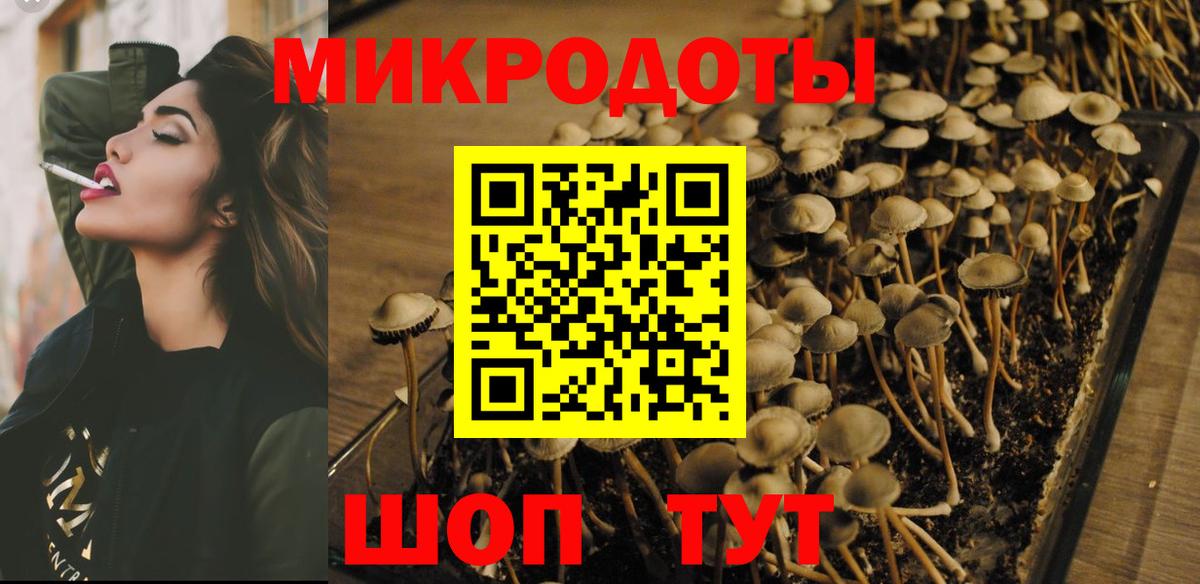 Галлюциногенные грибы Cubensis Муром
